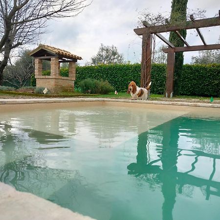 Ca' Le Cerque, Villa Surrounded By The Marche Nature Fossombrone Exterior photo